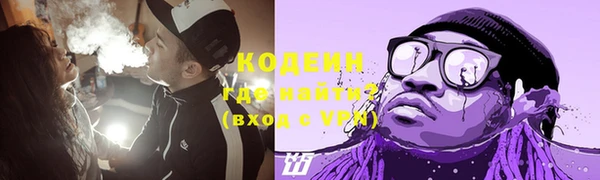 гашик Сатка