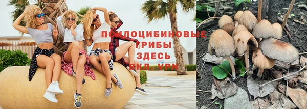 круглые Алзамай