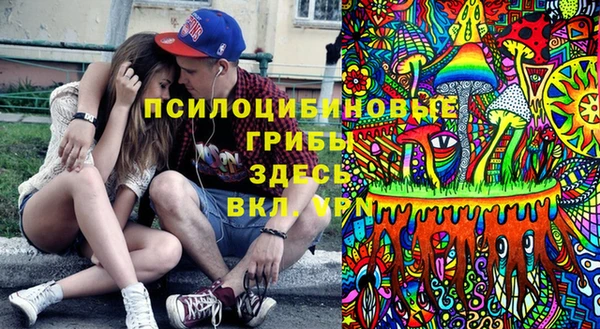 бутират Алексеевка