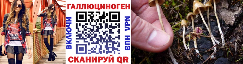 Псилоцибиновые грибы Magic Shrooms  блэк спрут ССЫЛКА  Ленинск 